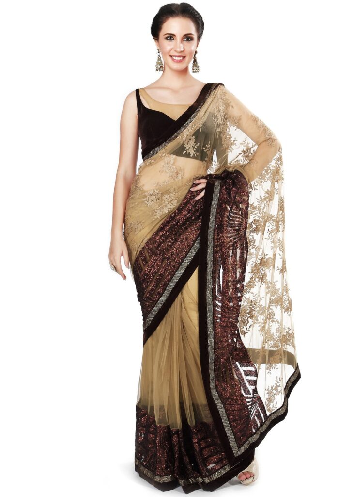 designer-saree-1006688_1920